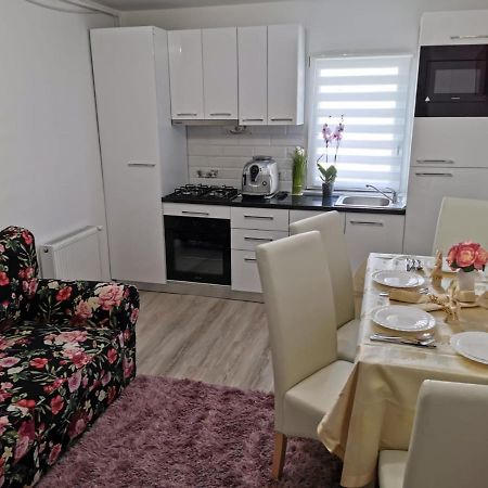 Apartament Gold Luxury Apartment Tirgu Ocna Exterior photo